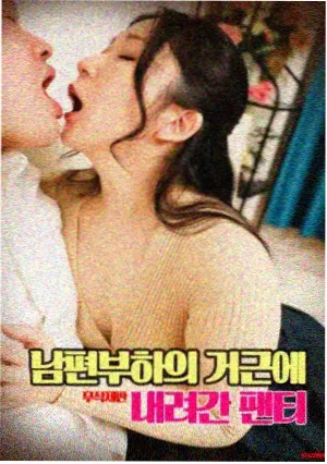 归海剧集封面